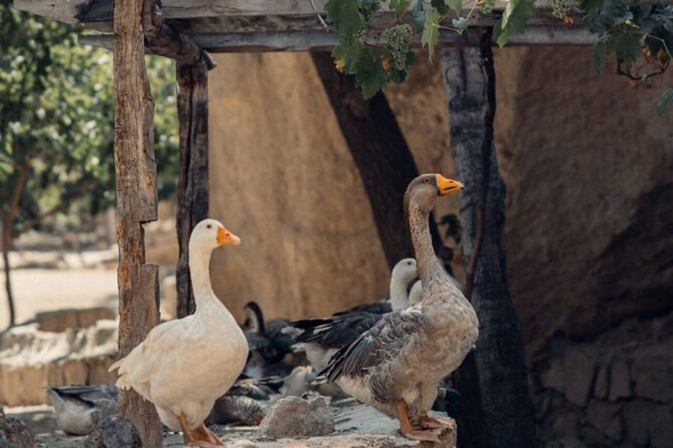 2 Days in Cappadocia: Guided Red and South Tour - Day 2 in South Cappadocia: Gül Valley and Kızıl Vadi on your feet