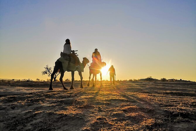 2 Hours of Camel Safari in Cappadocia - Comfort, Group Size, and What to Wear