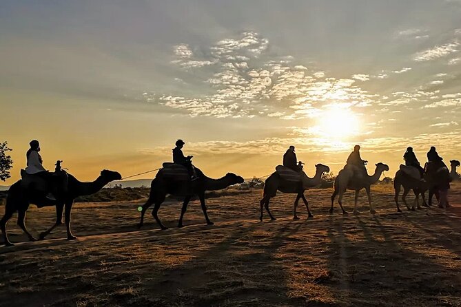 Camel Safari in Cappadocia - Price and what you actually get for $56