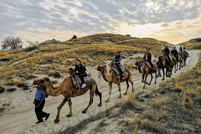 Camel Safari in Cappadocia - The camel condition question: what you should watch for