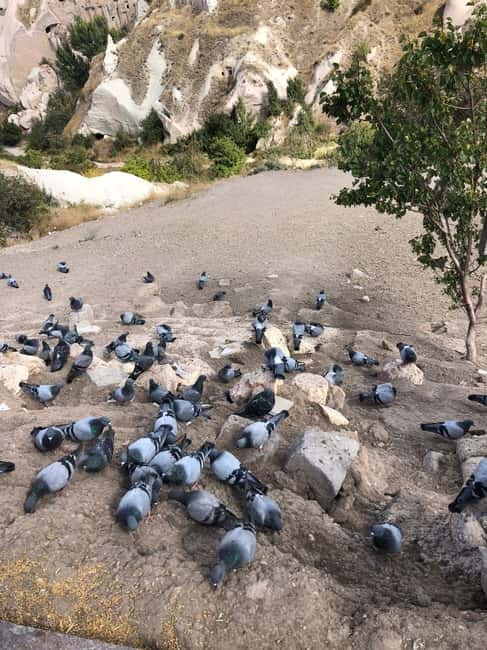 Cappadocia 1 or 2 Day Private Tour - Should You Book This Cappadocia Tour?
