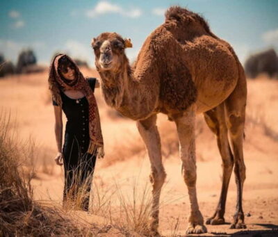Cappadocia: Camel Safari Tour with Transfer - Hotel transfer: how the pickup and drop-off options save your day