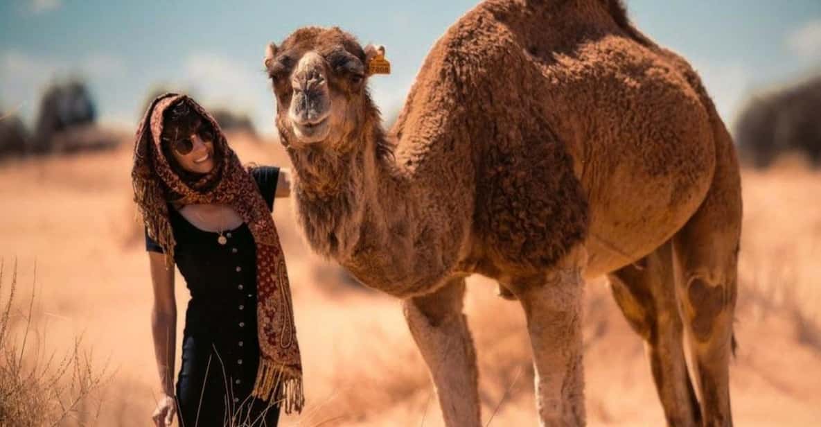 Cappadocia: Camel Safari Tour with Transfer - Price and value: why $58 can make sense here
