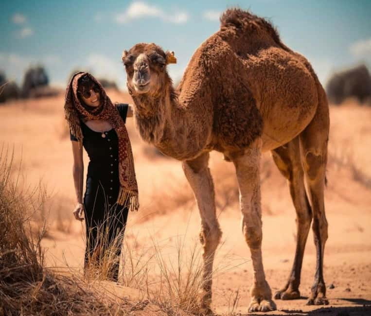 Cappadocia: Camel Safari Tour with Transfer - Hotel transfer: how the pickup and drop-off options save your day