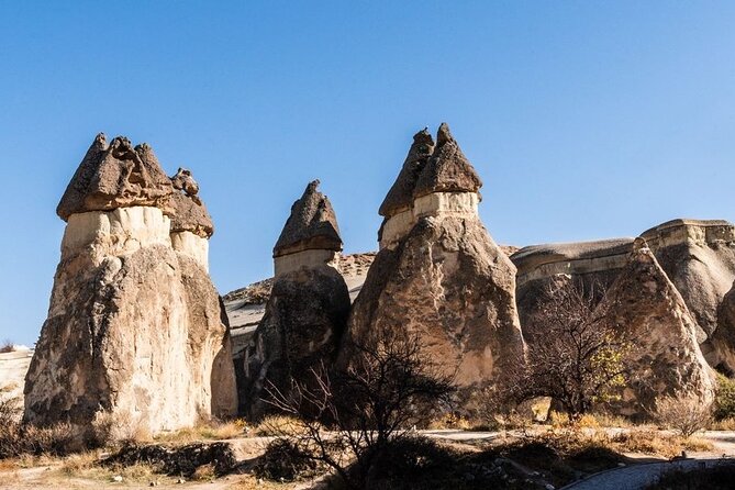 Cappadocia Daily Red Plus Tour - Pasabag: fairy chimneys you’ll want to walk around, not just look at