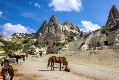 Cappadocia: Göreme Horse Riding, Fairy Chimneys w/Transfer - Hotel Pickup and Timing: Simple Logistics, With One Real-World Caveat