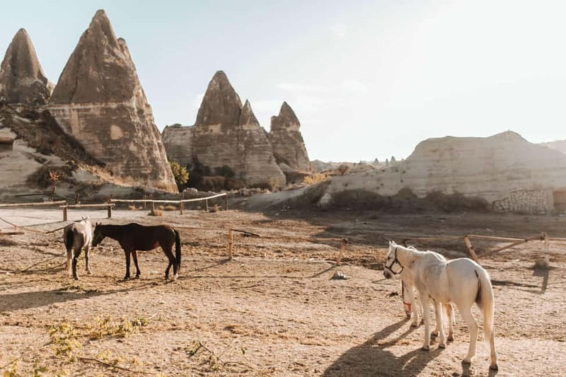 Cappadocia: Horse Riding Tour with Hotel Transfer - Red and Rose Valley viewpoints: why the timing choice matters