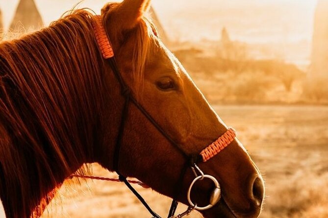 Cappadocia Horseback Riding Tour (Transfer Included) - Sunset Horseback in Goreme: what this tour really feels like
