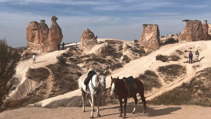 Cappadocia Private Combined Tour with Lunch - Pigeon Valley: a named place with real carved detail