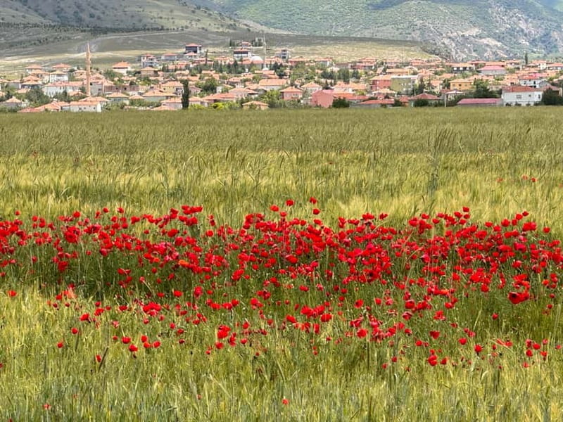 Cappadocia: Shared/Private Tour with Lunch - Practical tips to make the day easier
