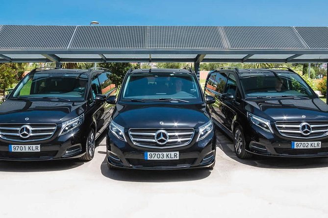 Cappadocia Shuttle Transfer from Nevsehir Airport - How the name-sign pickup works when you land
