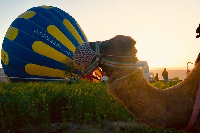 Cappadocia: Sunrise Camel Safari - Red Valley and Rose Valley Viewpoints: What You’re Really Getting