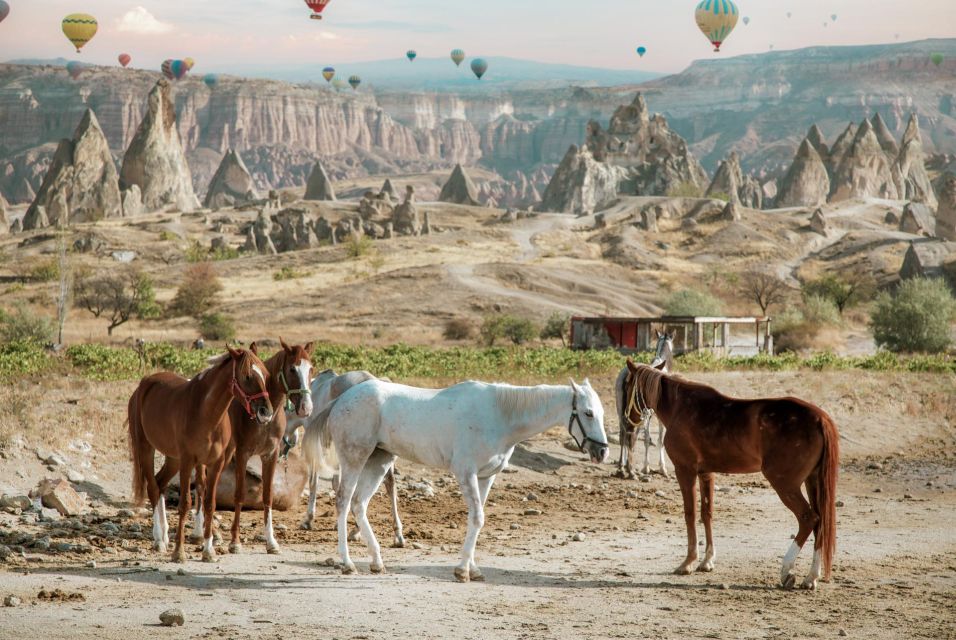 Cappadocia: Sunset Horseback-Riding Tour - Apricot orchards and vineyards: the quieter scenic portion