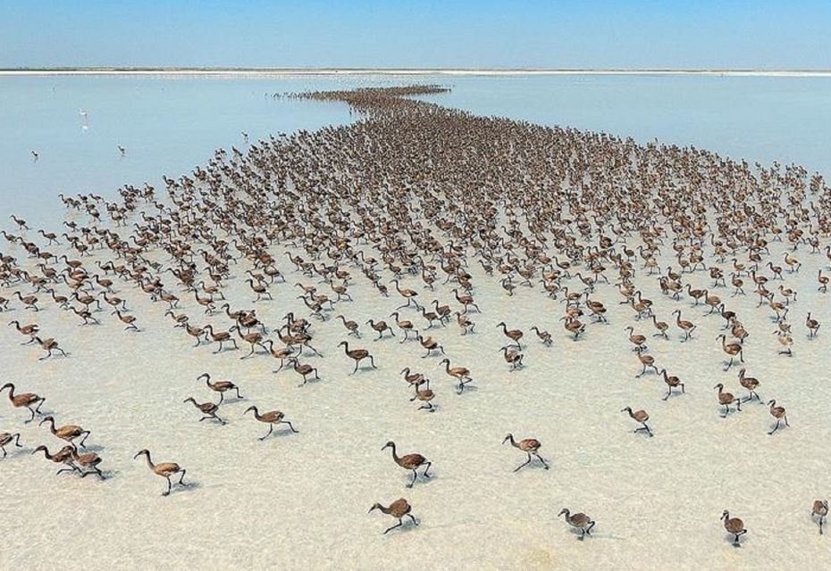 Cappadocia Tour: Underground City, Caravanserai & Salt Lake - Lake Tuz: the surreal salt flat moment, plus the walking reality check