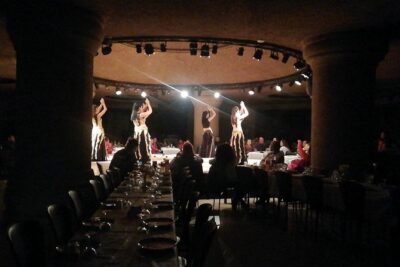 Cappadocia Turkish Night Show in Cave Restaurant - The dance lineup: belly dance plus multiple regional showpieces