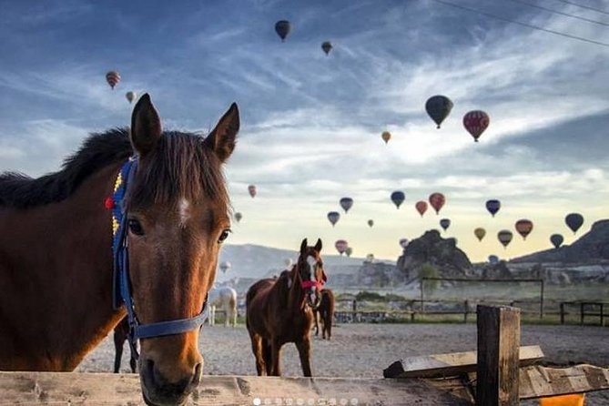 Daily Cappadocia Red and Underground Tour - Price and Value: Why $9 Can Still Be a Great Deal