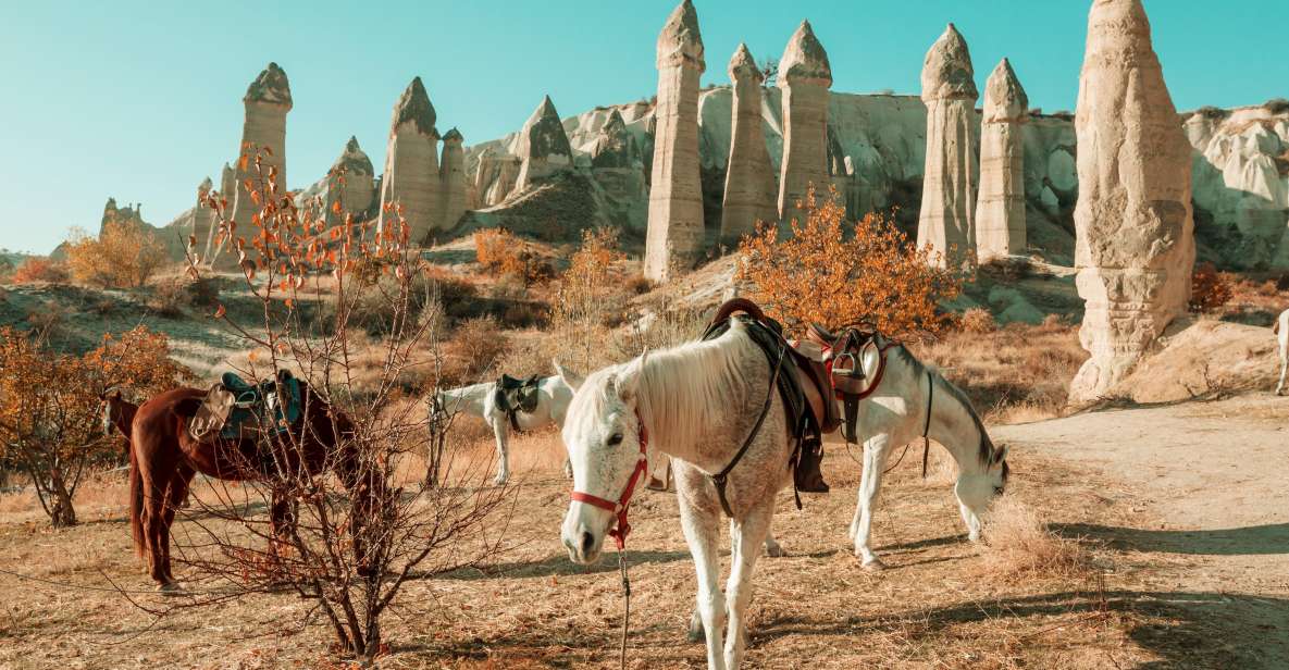 Istanbul to Cappadocia All Inclusive Private Day Tour - Key Highlights You Actually Feel During the Day