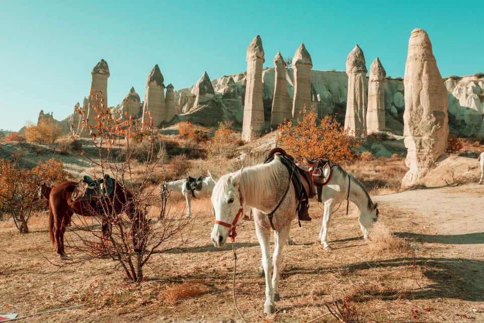 Istanbul to Cappadocia All Inclusive Private Day Tour - How This One-Day Flight Plan Fits Cappadocia (and Still Feels Human)