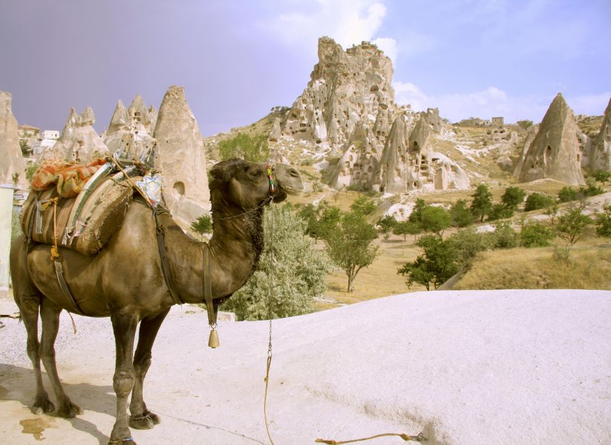 Istanbul to Cappadocia All Inclusive Private Day Tour - Goreme Open Air Museum: Churches and a Guided Walk That Actually Helps