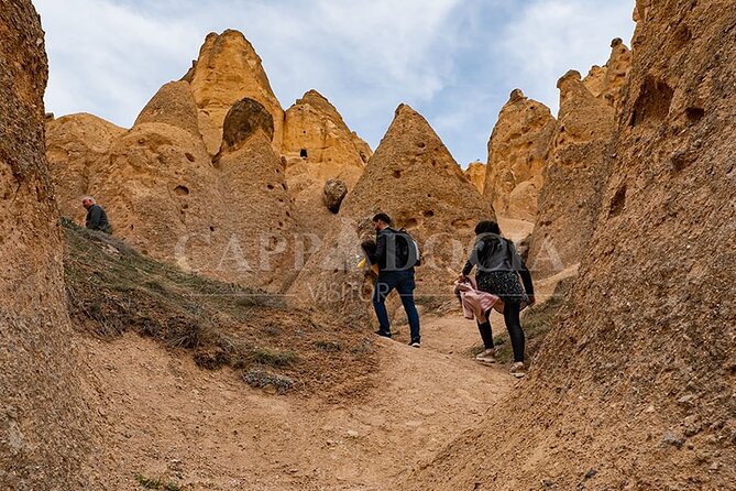 Private Cappadocia Full Day Car And Guide - Devrent Valley (Imagination Valley): quick shape spotting with low effort