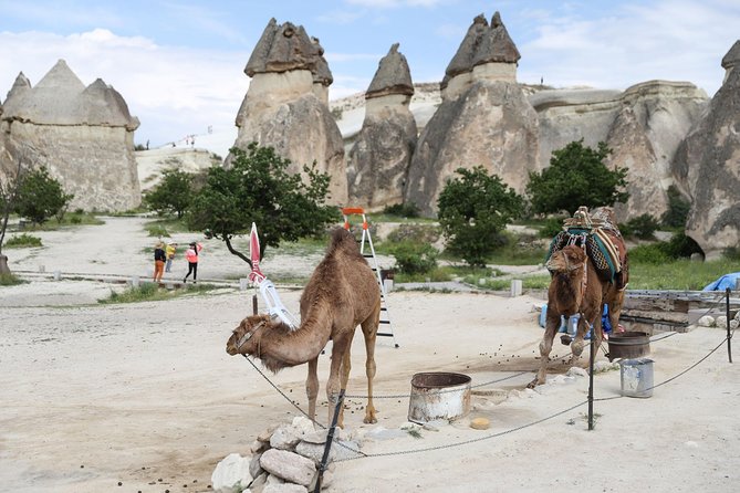 Private Cappadocia Tour w/Chimneys and Goreme Open Air Museum - Goreme Open-Air Museum and the Dark Church Frescoes