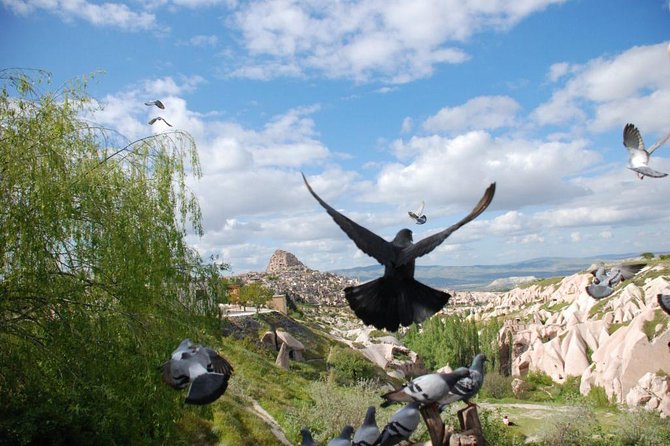 Small Group Cappadocia Tour - Pasabag fairy chimneys: the shapes that look like cartoons