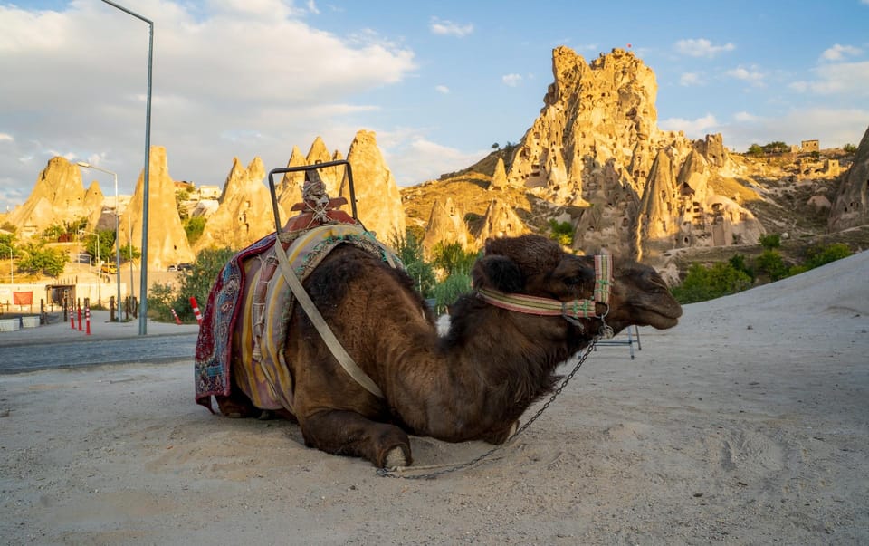 Sunrise and Sunset Camel Ride with Stunning Cappadocia Views - Photo stop timing: catching the colors without turning it into a marathon